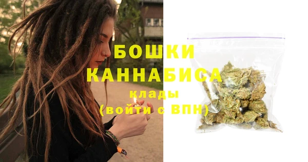 дмт Мегион