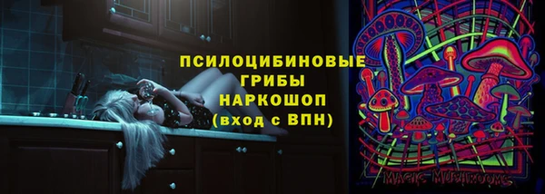 дмт Мегион