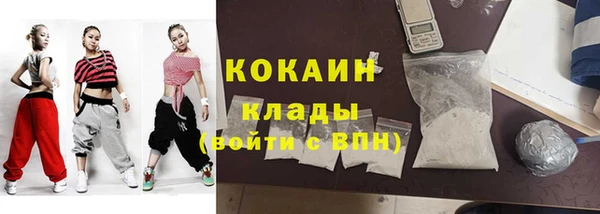 дмт Мегион
