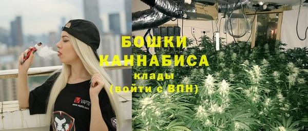 дмт Мегион