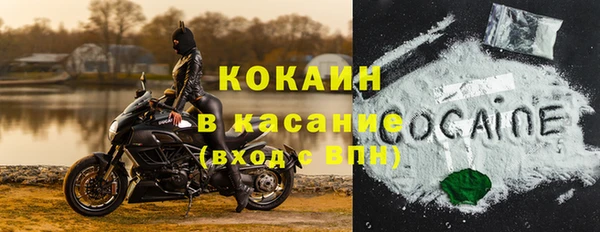 дмт Мегион