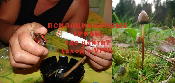 дмт Мегион