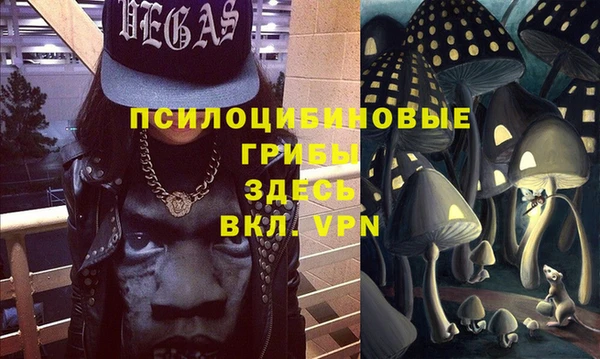 дмт Мегион