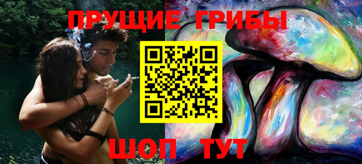 Псилоцибиновые грибы MAGIC MUSHROOMS  Вход с VPN  Сокол 